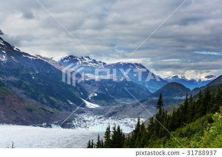 Salmon glacier 31788937