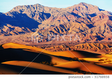 Sand dunes in California 31788938