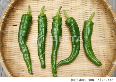 Fushimi chilies 31789338