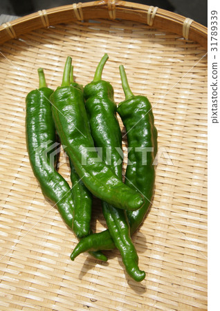 Fushimi chilies 31789339