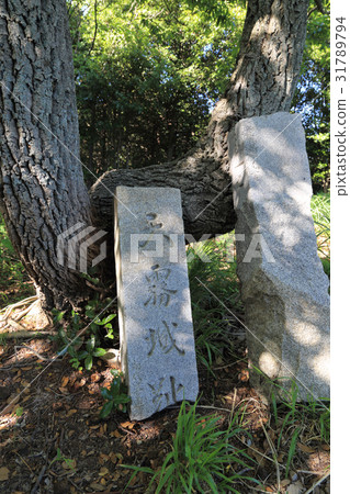 城堡遺址寺(贊岐國家中世紀山城堡) 城堡遺址寺(贊岐國家中世紀山城堡) 31789794