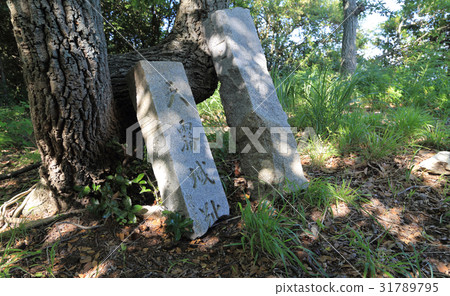 Temple of Castle Ruins (medieval mountain castle of Sanuki country) Temple of Castle Ruins (medieval mountain castle of Sanuki country) 31789795