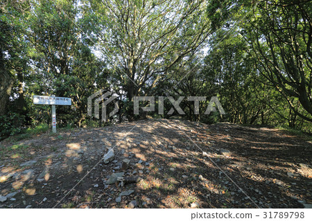 天堂城堡本丸遺址(贊岐國家的中世紀山城堡) 天堂城堡本丸遺址(贊岐國家的中世紀山城堡) 31789798