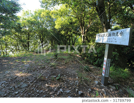 天堂城堡本丸遺址(贊岐國家的中世紀山城堡) 天堂城堡本丸遺址(贊岐國家的中世紀山城堡) 31789799
