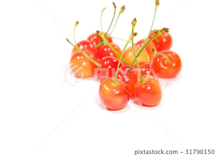 Cherry 31790150