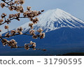 mountain fuji, mt fuji, mt.fuji 31790595