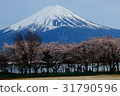 mountain fuji, mt fuji, mt.fuji 31790596