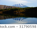 mountain fuji, mt fuji, mt.fuji 31790598