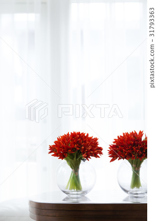 Flower image Flower image 31793363