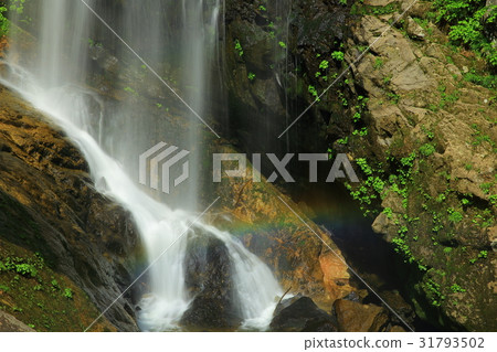 Summer stand or the valley valley waterfall Summer stand or the valley valley waterfall 31793502