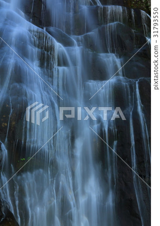 夏季站或谷谷瀑布 31793550