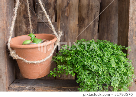 small garden decoration small garden decoration 31793570