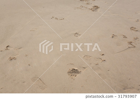 footprint on sand beach 31793907