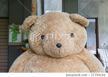 close-up big doll brown bear fluffy fur close-up big doll brown bear fluffy fur 31794244