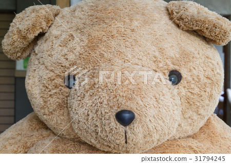 close-up big doll brown bear fluffy fur close-up big doll brown bear fluffy fur 31794245