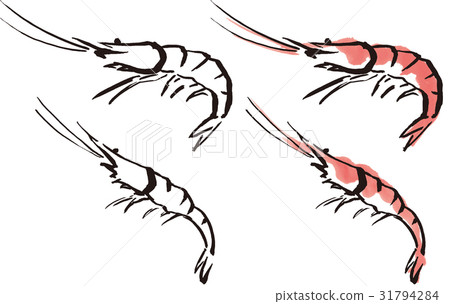 Simple hand-painted sakura shrimp 31794284