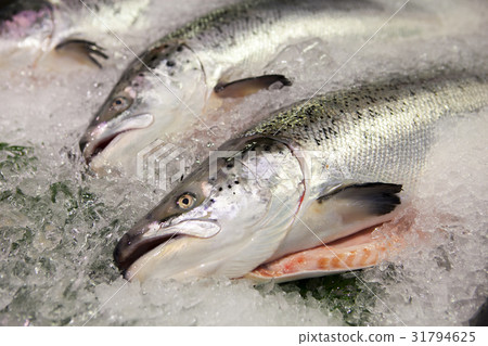 上引水產,海產,addction,水産品、魚介類、Aquatic products, seafood 上引水產,海產,addction,水産品、魚介類、Aquatic products, seafood 31794625