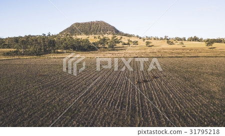 View of Mount Walker, Queensland View of Mount Walker, Queensland 31795218