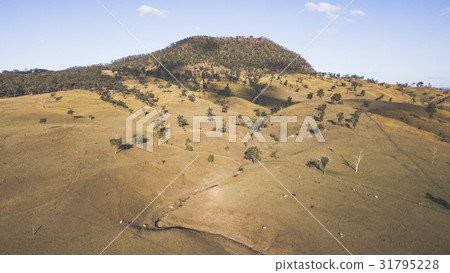 View of Mount Walker, Queensland View of Mount Walker, Queensland 31795228
