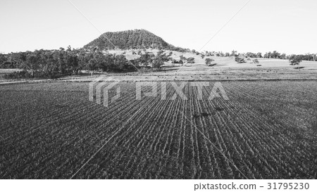 View of Mount Walker, Queensland 31795230