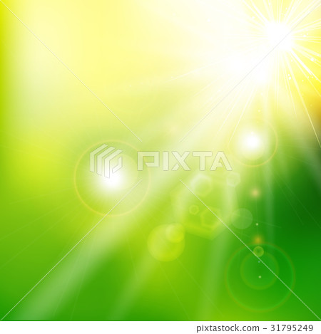 Spring summer sunlight flare abstract green color 31795249
