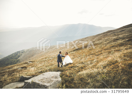 Wedding couple posing on sunset at wedding day Wedding couple posing on sunset at wedding day 31795649