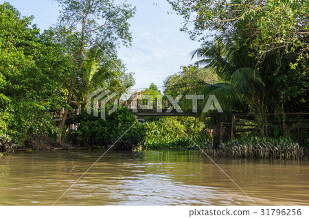 Small canal in Mekong Delta. 31796256