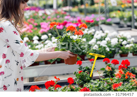 Young woman buying flowers at a garden center 31796457