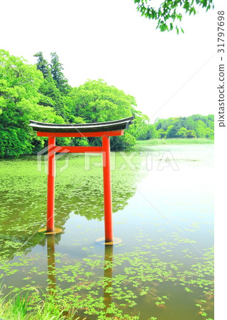 Recommended tourist spot in Kyushu Nakatsu city Oita prefecture Shrine Shrine Triangle Pond 31797698