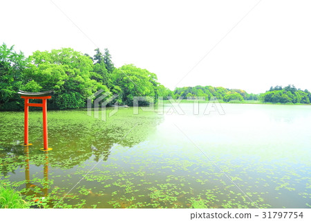 Kyushu Popular Recommended Sightseeing Spot Nakatsu City Oita Shrine Oita Prefecture 31797754