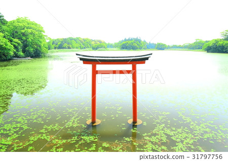 Kyushu Popular Recommended Sightseeing Spot Nakatsu City Oita Shrine Oita Prefecture 31797756