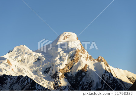 Top of Himalayan range, covered by snow. Ladakh  31798383