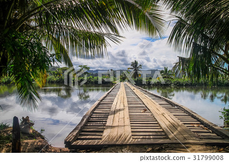 Bridge in tropics Bridge in tropics 31799008