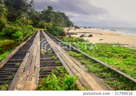 Wooden bridge on the coast Wooden bridge on the coast 31799016