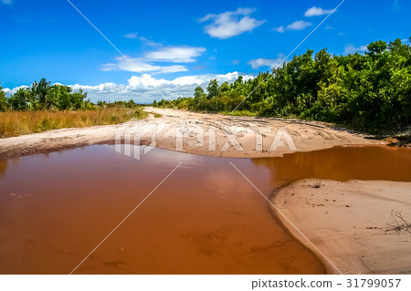 Malagasy coastal road Malagasy coastal road 31799057