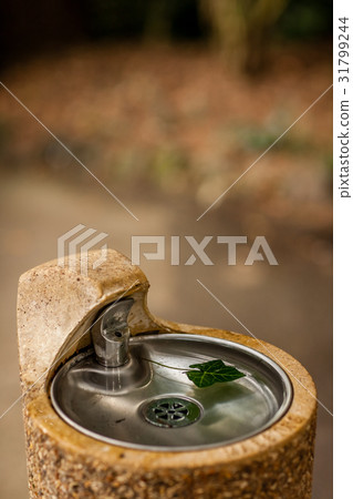 Drinking fountain in a park Drinking fountain in a park 31799244
