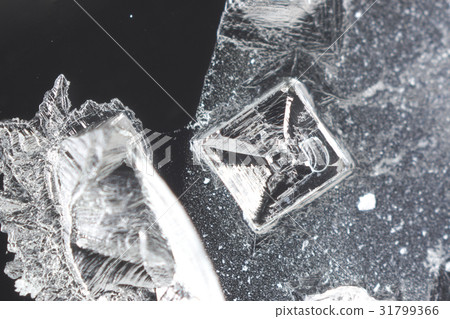 水晶 - 鹽的顯微照片（氯化鈉） 31799366