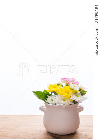 Beautiful Chrysanthemum and pink Carnation flowers Beautiful Chrysanthemum and pink Carnation flowers 31799494