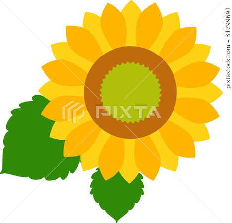 Sunflower icon 03 31799691