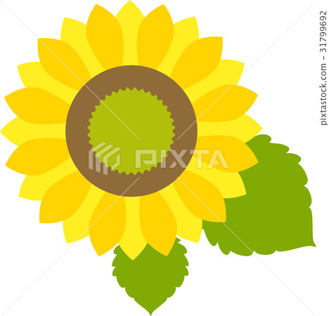 Sunflower icon 04 Sunflower icon 04 31799692
