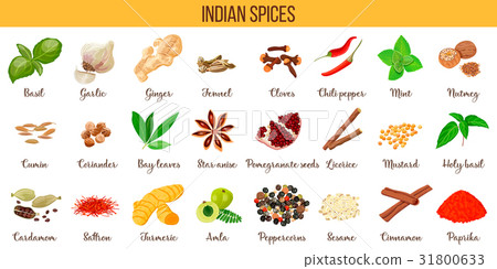 Big vector set popular culinary spices silhouette Big vector set popular culinary spices silhouette 31800633