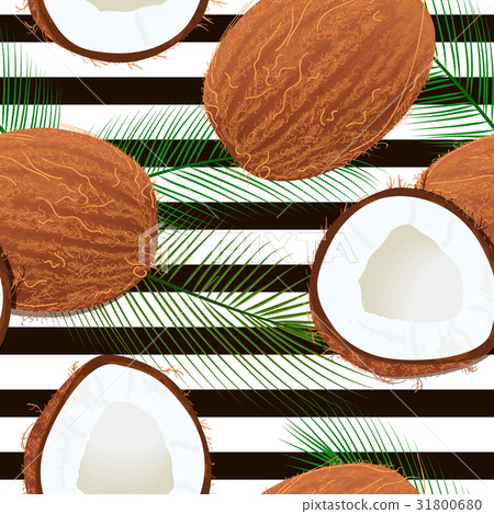 Seamless vector summer pattern with coconut 31800680