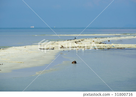 Dirty beach polution with blue sea sky background Dirty beach polution with blue sea sky background 31800716