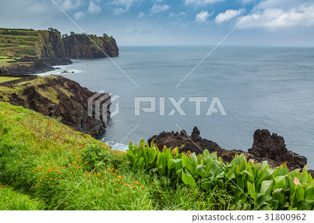North coast of Sao Miguel Island, Atlantic Ocean. 31800962
