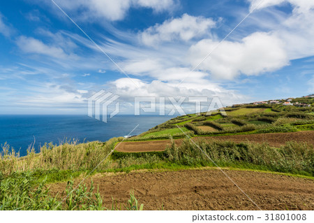 Agricultural land and pastures on Sao Miguel 31801008