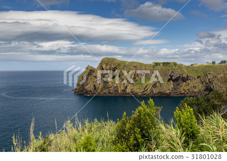 North Coast at Capelas on Sao Miguel Island 31801028