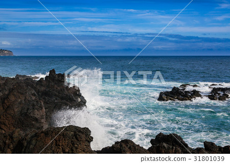 Wild coast at Lagoa on Sao Miguel Island 31801039