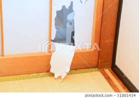 Tear-down shoji 31801434