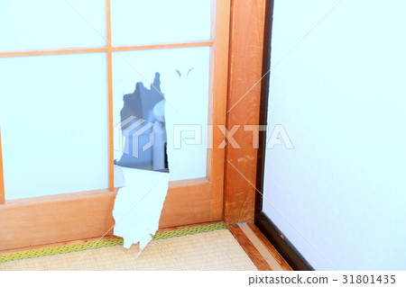 Tear-down shoji 31801435