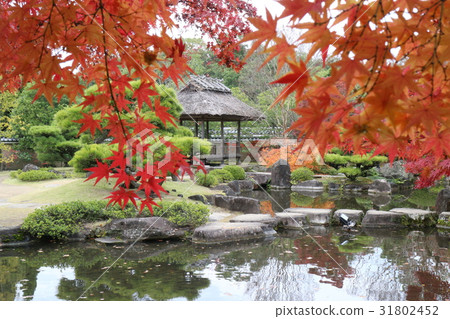 Himeji-jo Castle in autumn 31802452